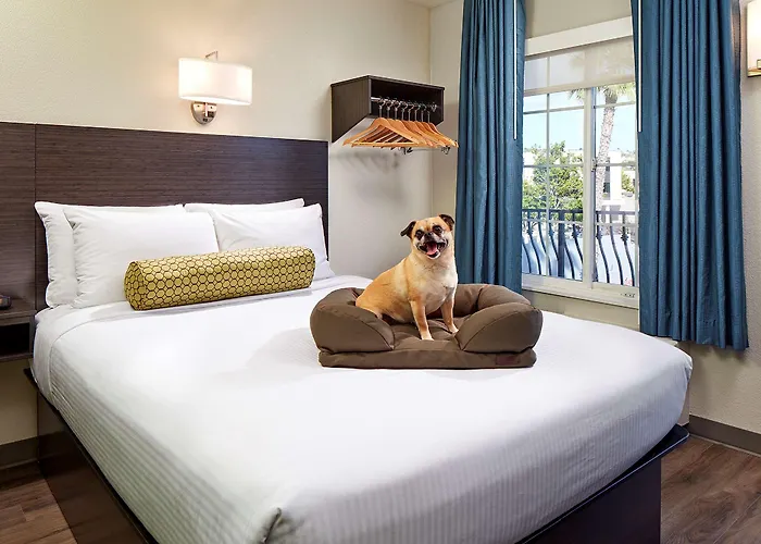 Chambre Lit Queen-Size