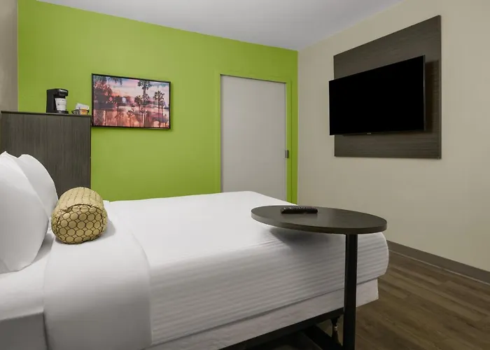 Chambre Accessible aux Personnes à Mobilité Réduite Lit Queen-Size