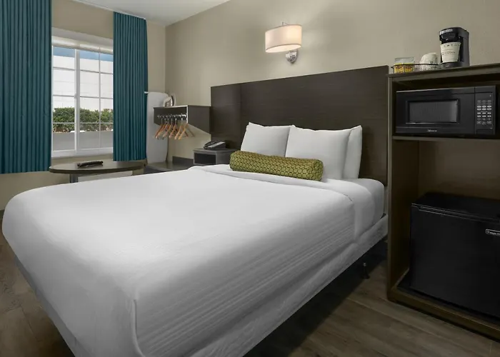 Chambre Accessible aux Personnes à Mobilité Réduite Lit Queen-Size